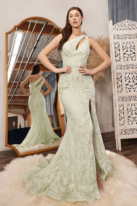 Ladivine - CD973 Lace One Shoulder Gown