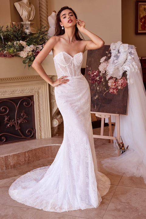 Andrea & Leo - WL040 Gown
